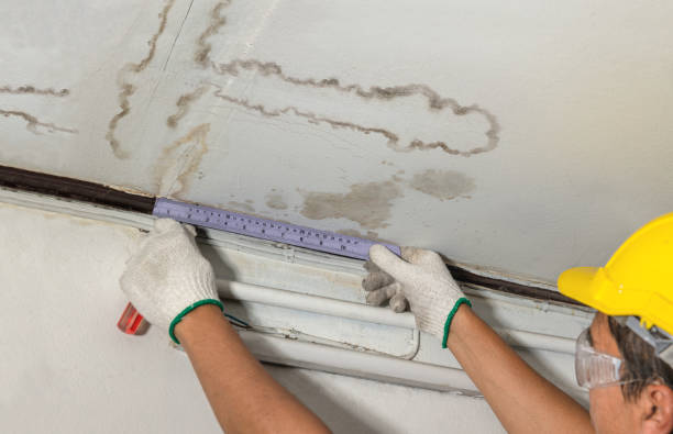 Reliable Mold Remediation contractor in Farmersville, TX by Water Damage Irwin